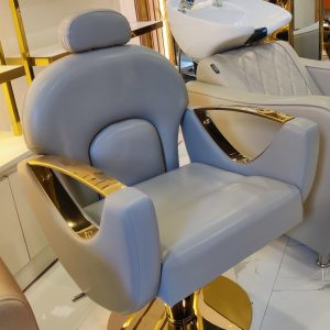 Sakhi Salon Chair - Gloria 4 Screenshot 2023 08 04 10 51 14 55 92460851df6f172a4592fca41cc2d2e6